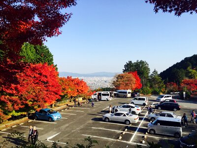 Autumnal leaves arashiyama japan photo