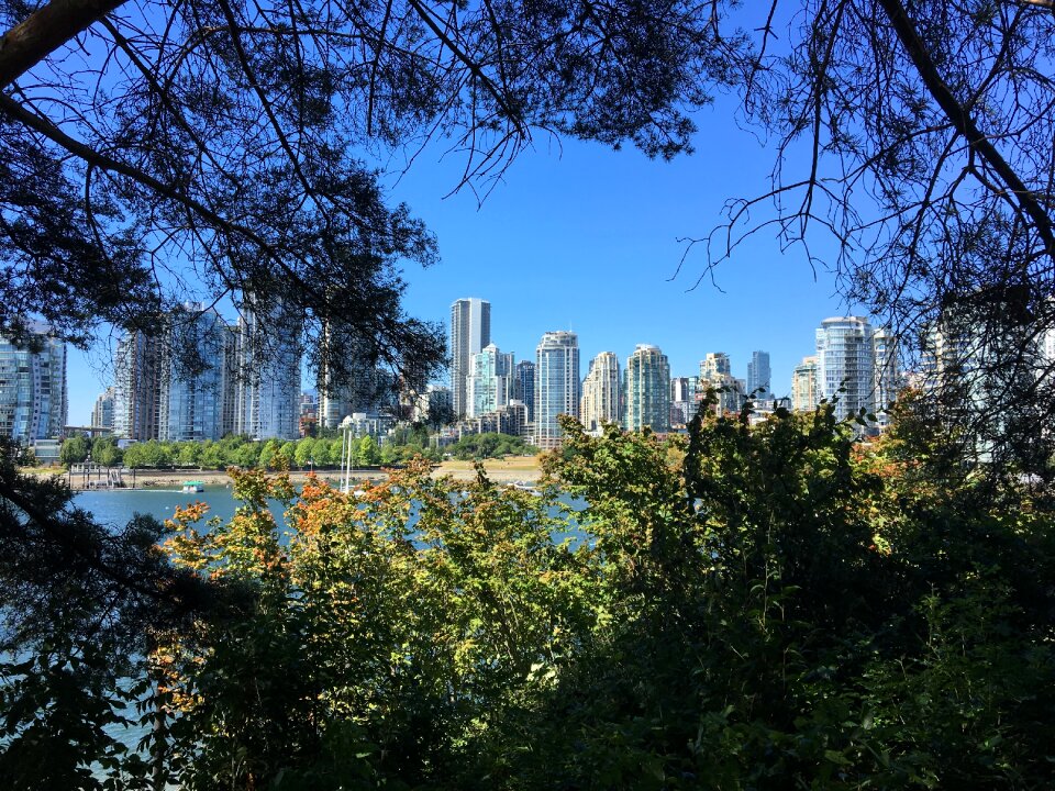 Canada travel skyline photo