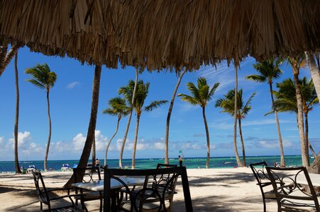 Ocean dominican tropic