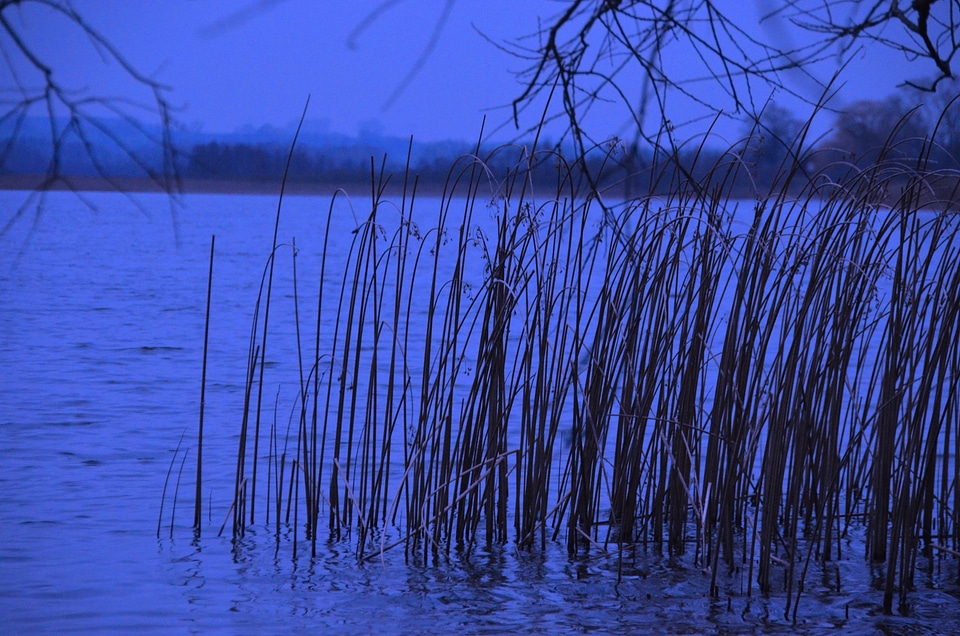 Evening lake blue