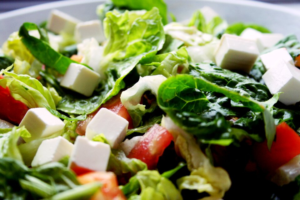 Vegetable food organic