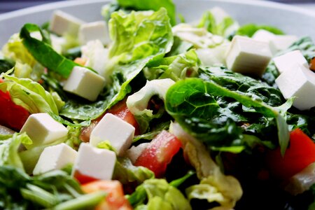 Vegetable food organic