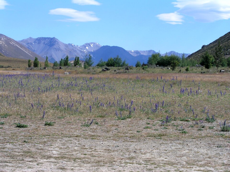 Arthur's pass nature landscape photo