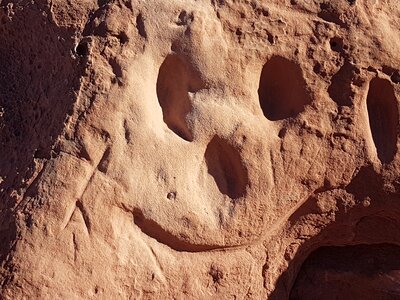 Face nature funny face