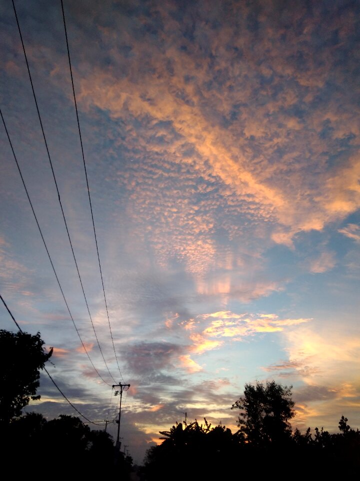 Cloud trees nature