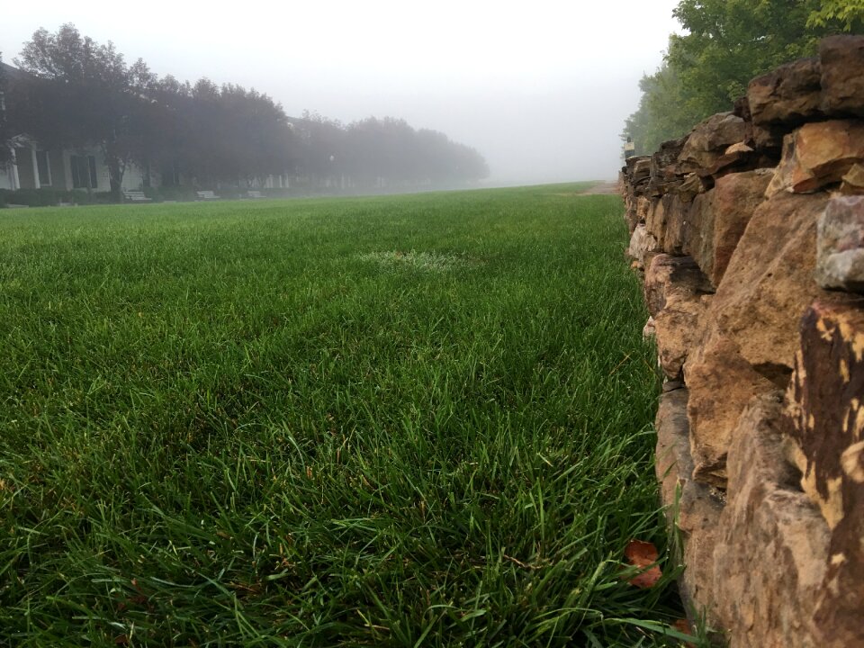 Stone wall morning fog photo