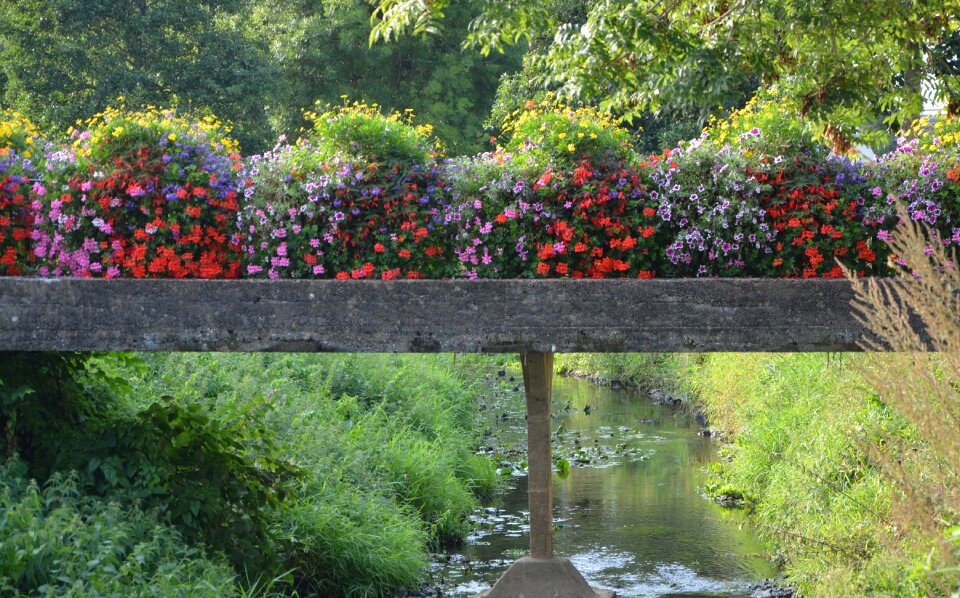 Dol de bretagne tourist town flowers