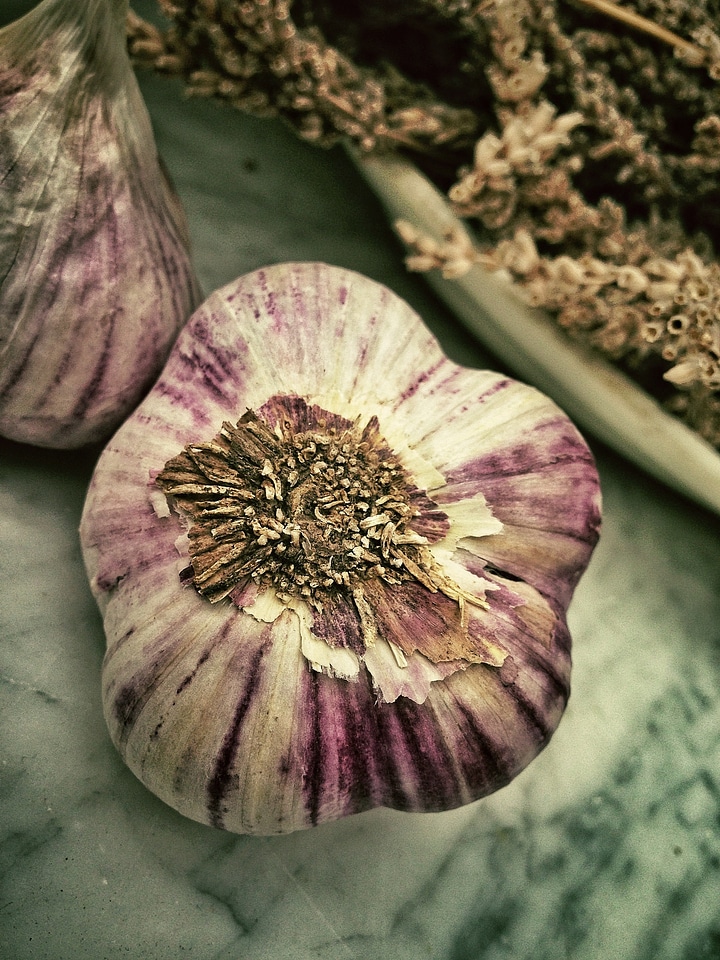 Mediterranean food white