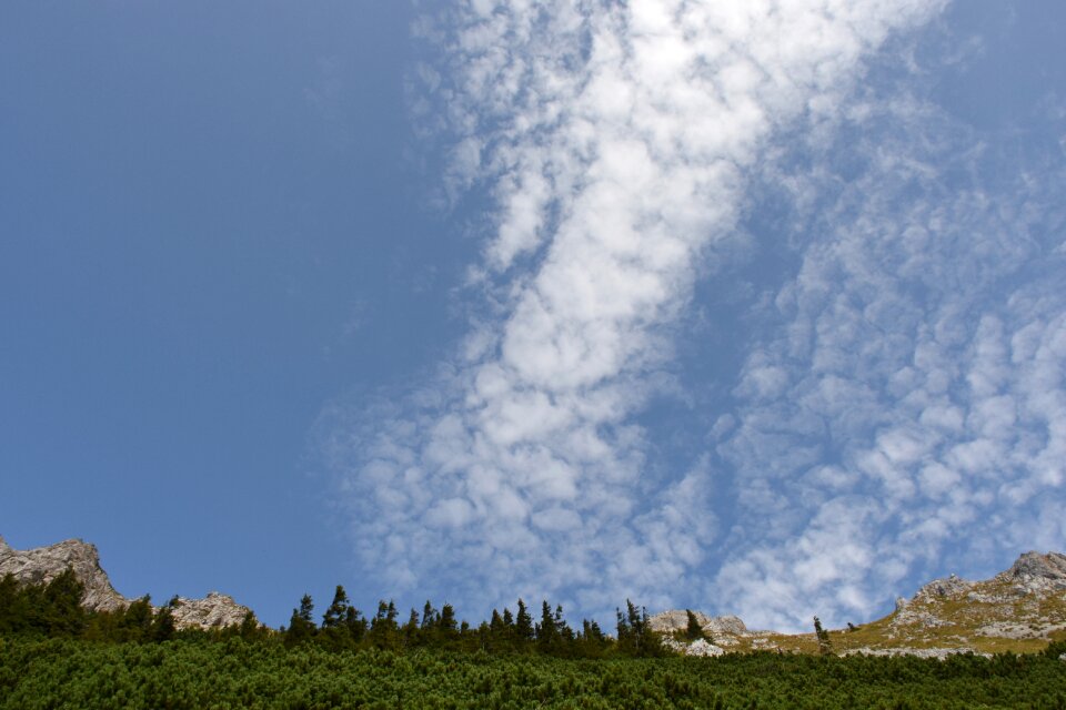 Mountains forest freedom