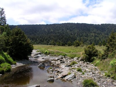 River at lake matheson nature landscape