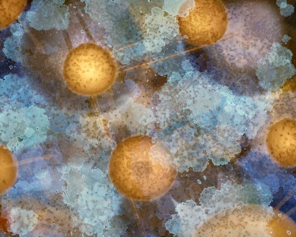 Galaxy cosmos light