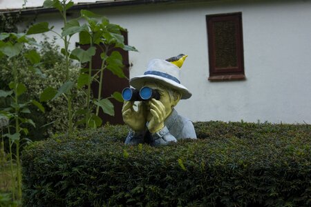 Binoculars fence gag
