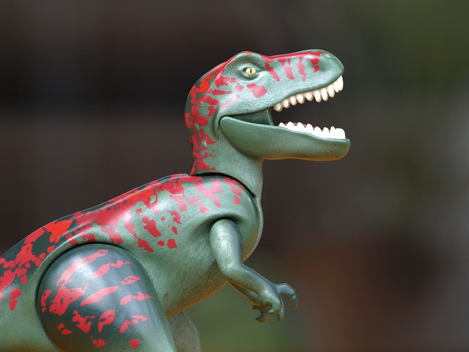 Tyrannosaurus rex playmobil toys