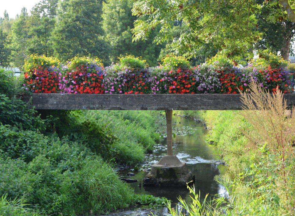 Dol de bretagne tourist town flowers
