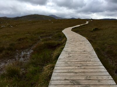 Nature landscape boardwalk