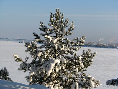 Snow the river kama russia photo