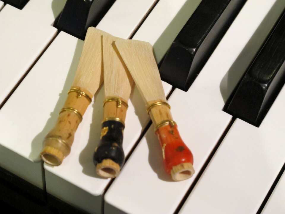 Music bassoon piano