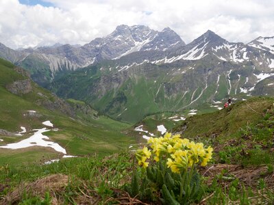 Snow landscape alpine