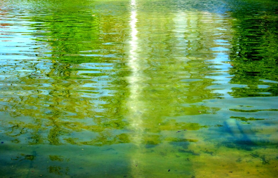 Reflections nature reflection