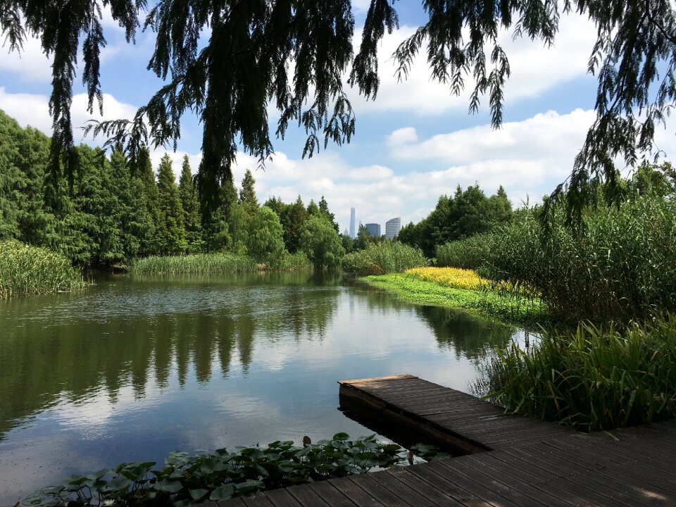 The scenery picturesque park