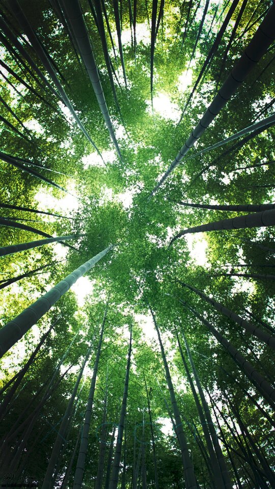 Sky green