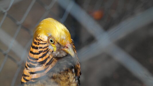 Colombia nature zoo
