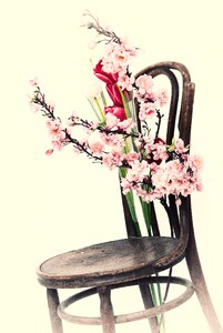 Flowers chair and flowers