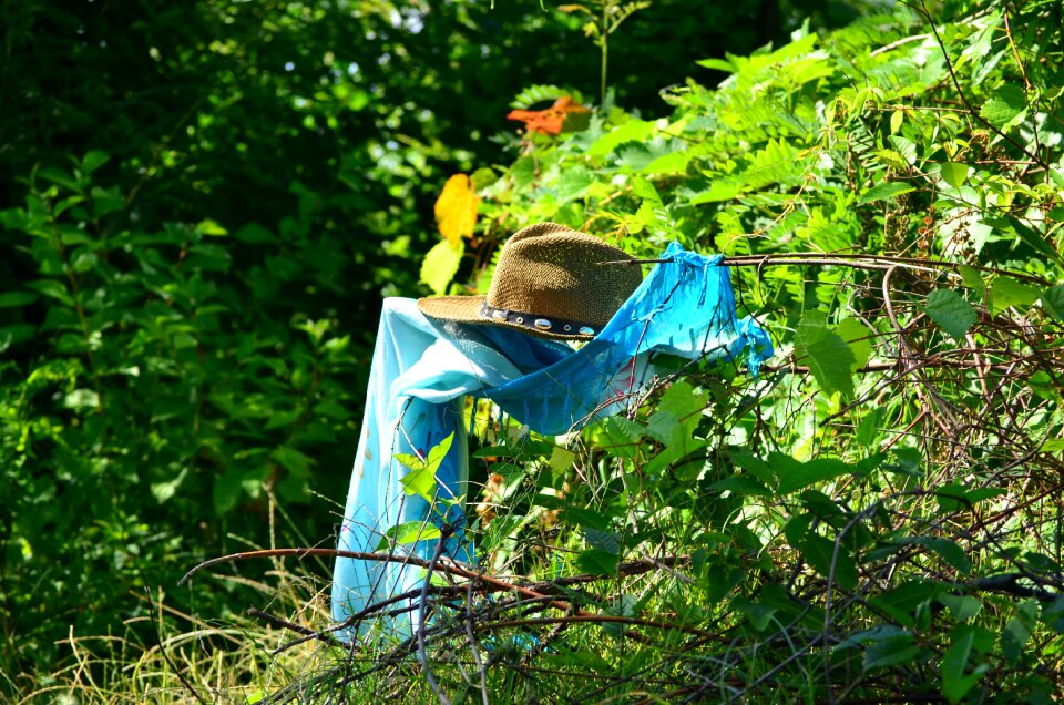 Nature hat summer