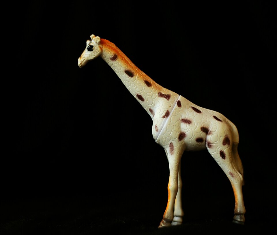 Black background little