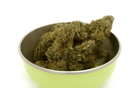 Cannabis bud photo