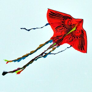Paper dragon fly of kite flying