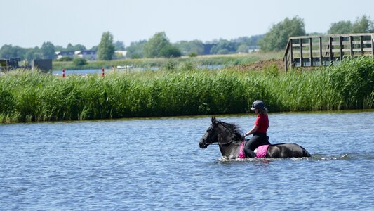 Water cooling down sunny
