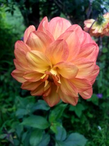 Beauty awesome