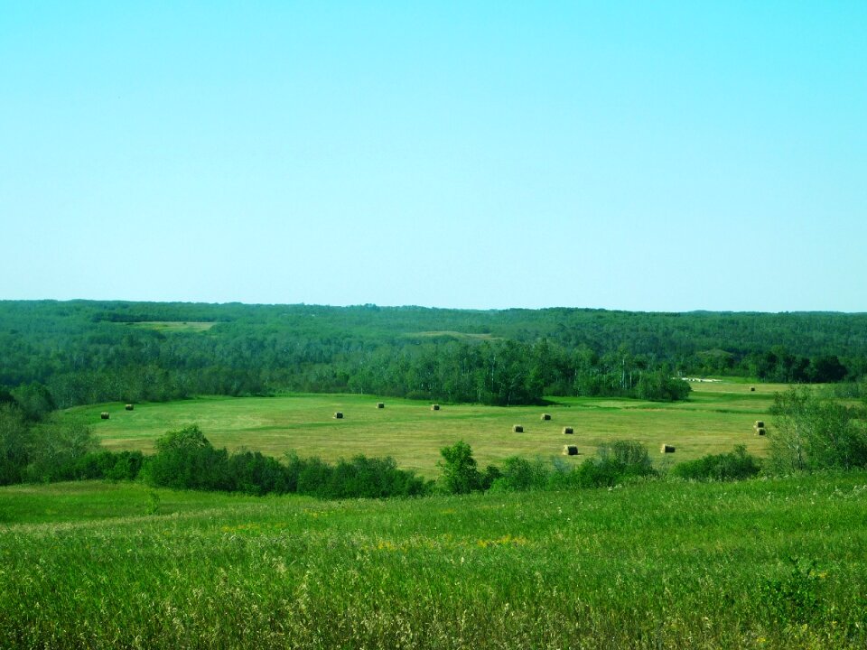 Farm field outdoor