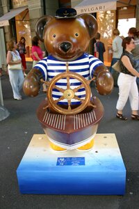 Zurich bears bear animal
