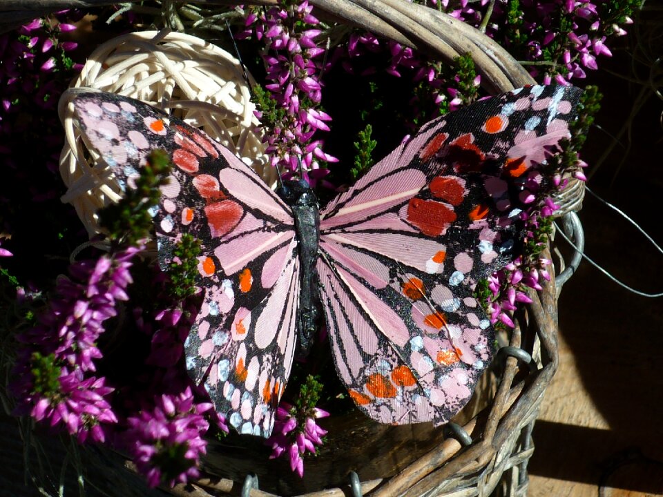 With heath-flowers pink visionary