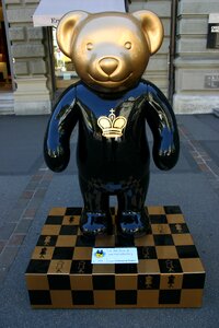 Zurich bears bear animal