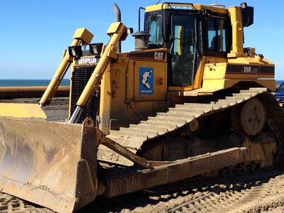 Sea shovel nature