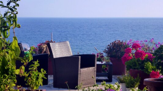 Flowers inviting coast photo