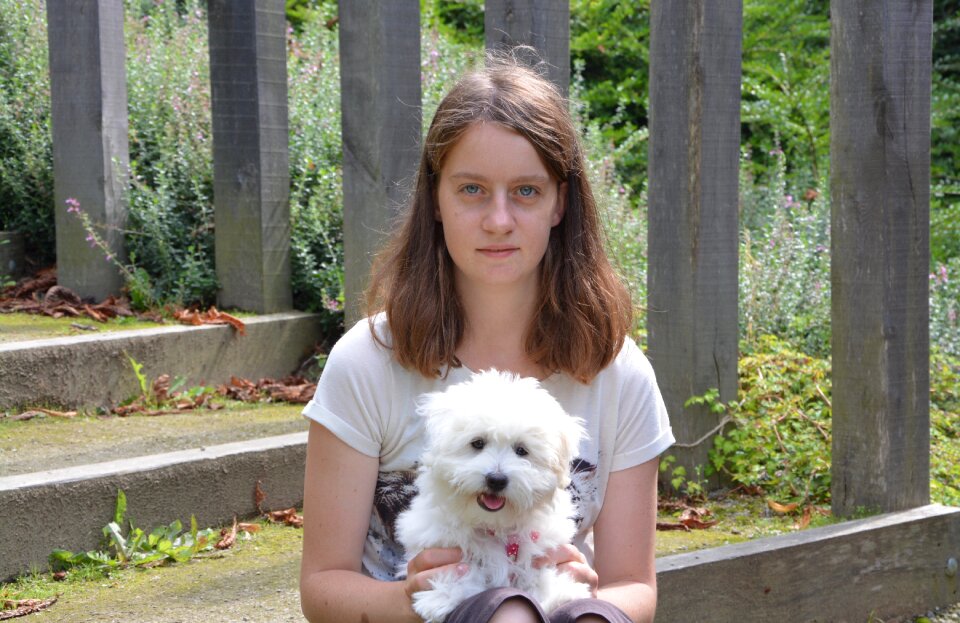 Head puppy complicity tenderness