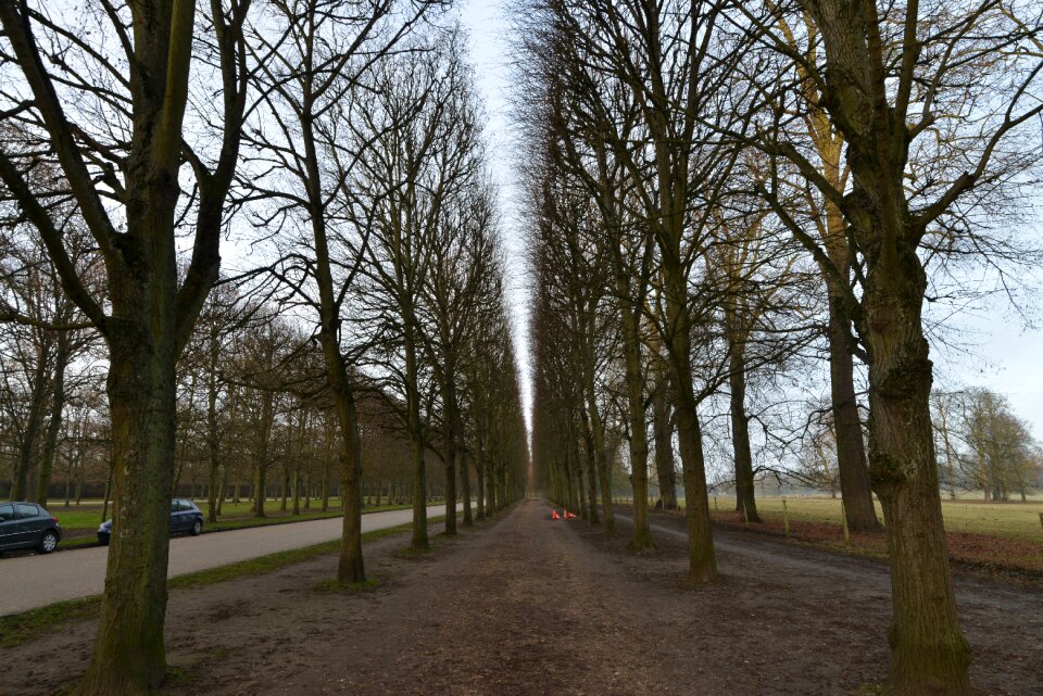 Trails gil straight road