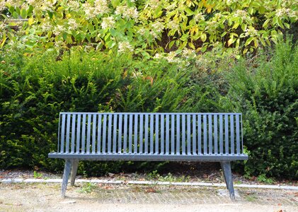 Park relaxation garden photo