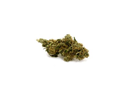 Cannabis bud photo