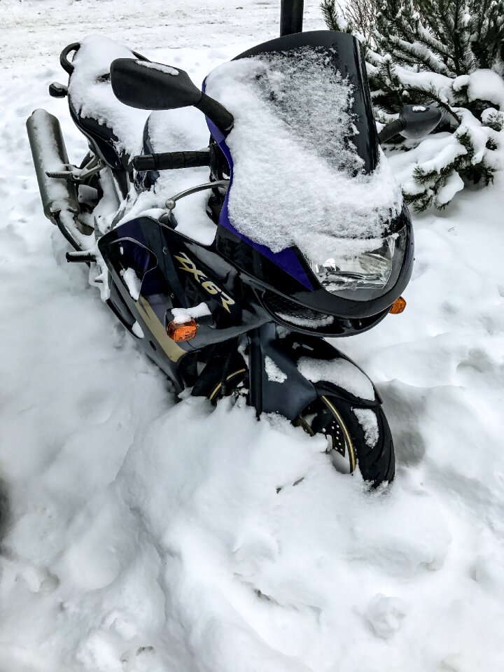 Winter zaspa frost