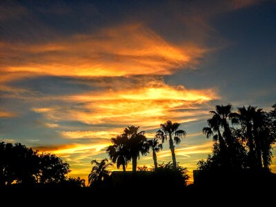 Landscape cactus sky