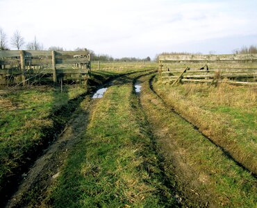 Still life meadows polder