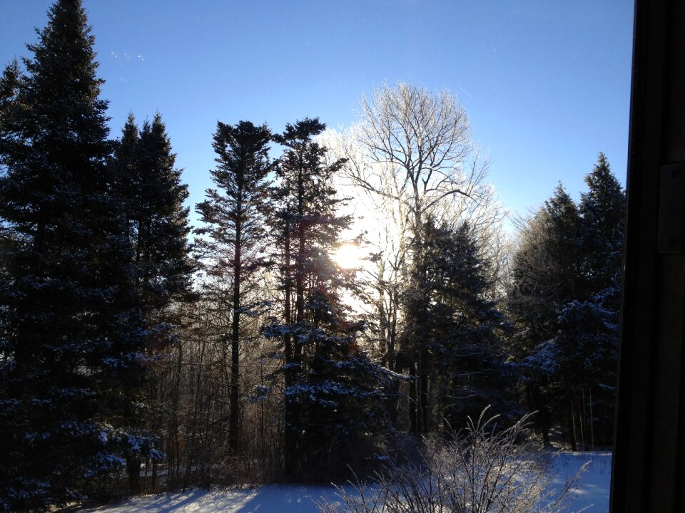 Sky landscape forest