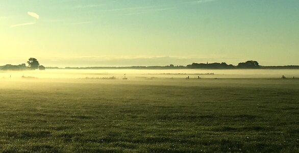Nature morning sun friesland