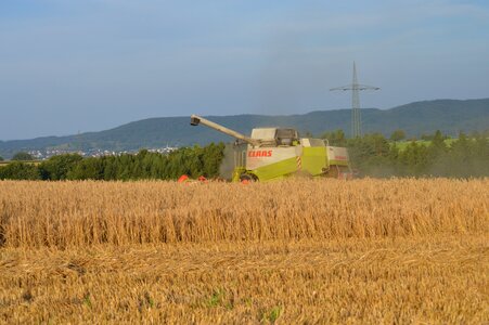 Field straw autumn