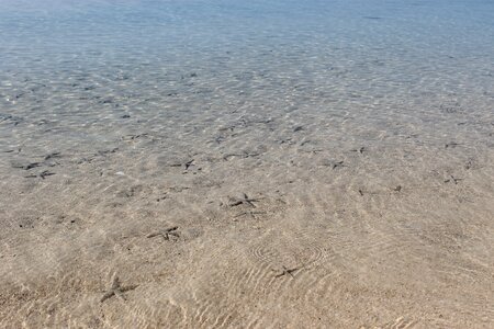 Beach sand